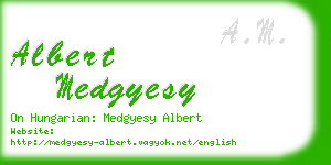 albert medgyesy business card